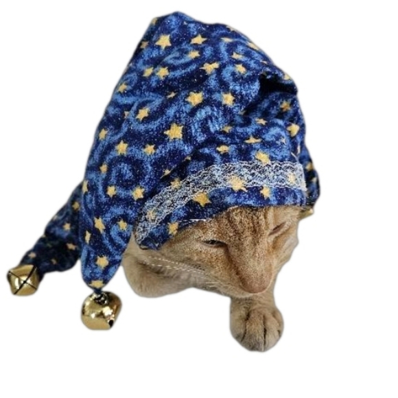 Hand Crafted Pet Witch Hat Funny Halloween Costume Cats Dogs Handmade Festive XL - Picture 8 of 17